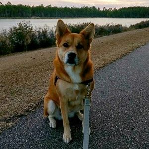 Meet your Posher, Camille